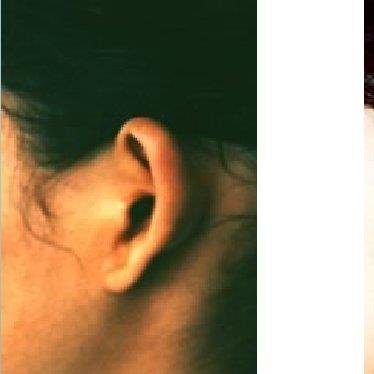 كوردوفا كروجيا بلاستيكا Y Reconstructiva - Cordova Crugia Plastica Y Reconstructiva