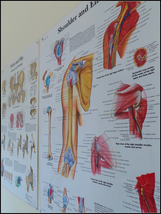 Cork Sports Injury Clinic - Cork Sports Injury Clinic