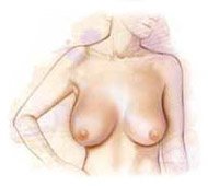 Cosmetica Clinic - Cosmetica Clinic