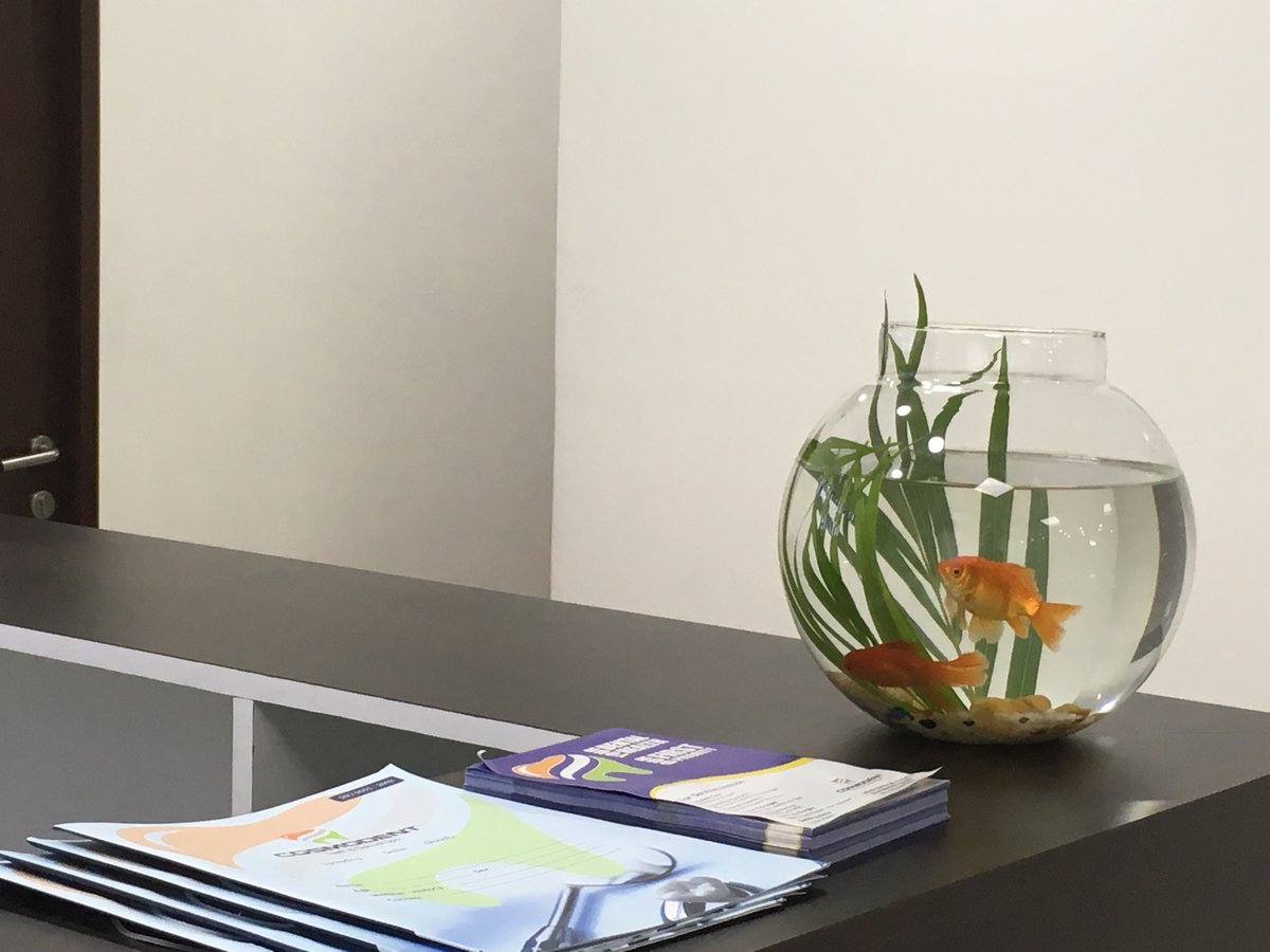 Cosmodent India - Teeth And Dermal Spa - Cosmodent India - Teeth And Dermal Spa