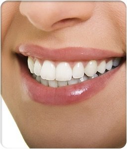 Craig Donn DDS - Craig Donn DDS