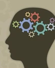 D15 تقديم المشورة - D15 Counselling