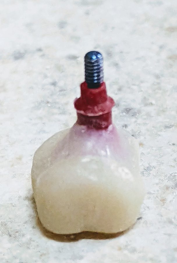 DDS Trejo Dental Clinic ,Doctor Tito - DDS Trejo Dental Clinic ,Doctor Tito