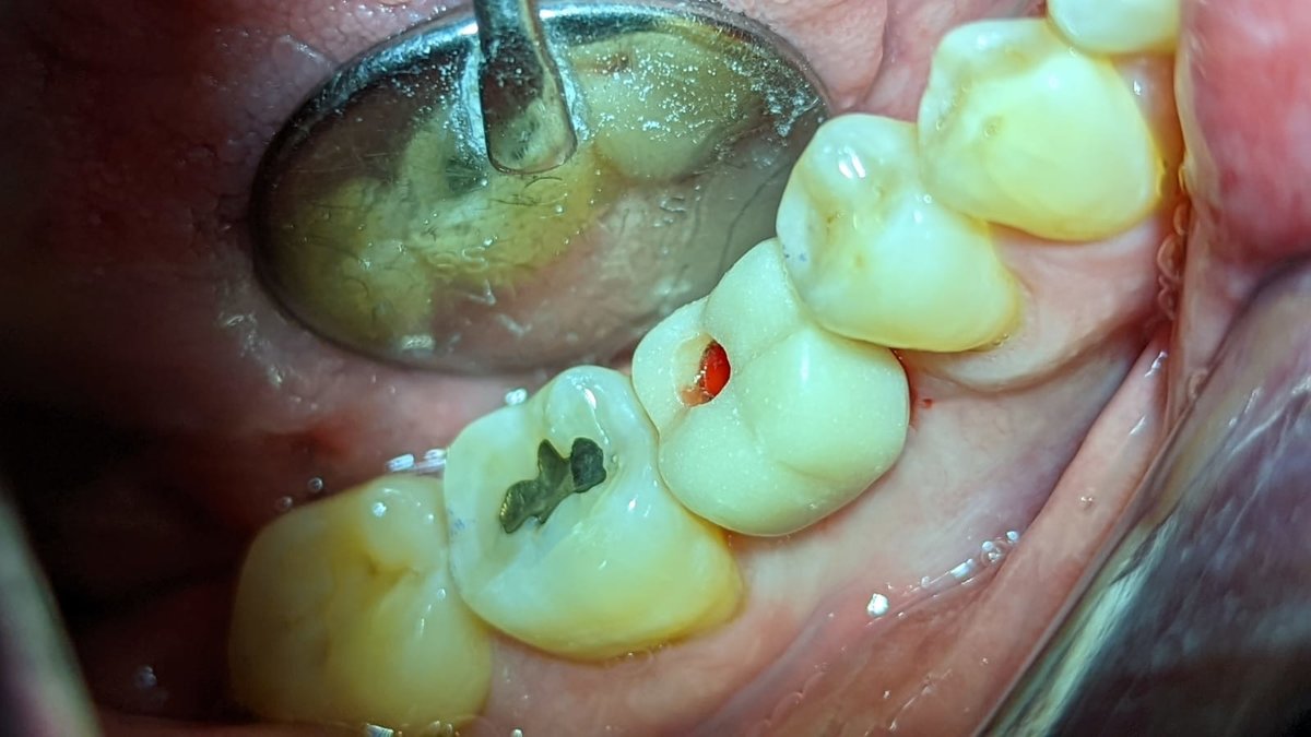 DDS Trejo Dental Clinic ,Doctor Tito - DDS Trejo Dental Clinic ,Doctor Tito