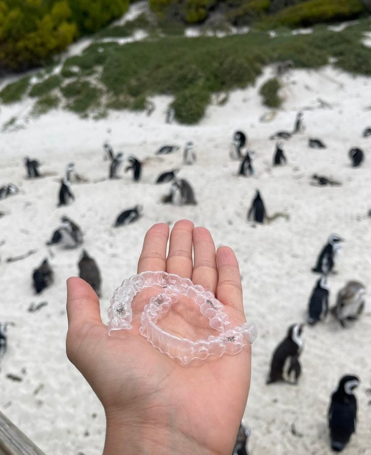 Dent Medica Bodrum - Dr. Kübra Çakır - Dent Medica Bodrum - Dr. Kübra Çakır