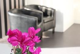 دنتايل - Dentael