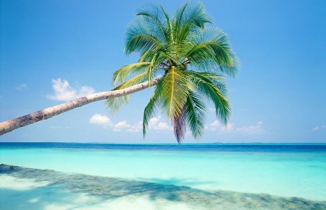 Dental Care Playacar - Dental Care Playacar