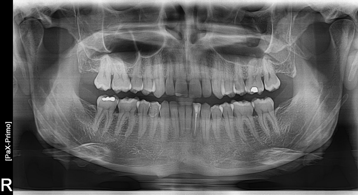 DENTAL CLINIC AND X-RAY CABINET- PETKOVI - DENTAL CLINIC AND X-RAY CABINET- PETKOVI