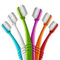 Dental House - Dental House