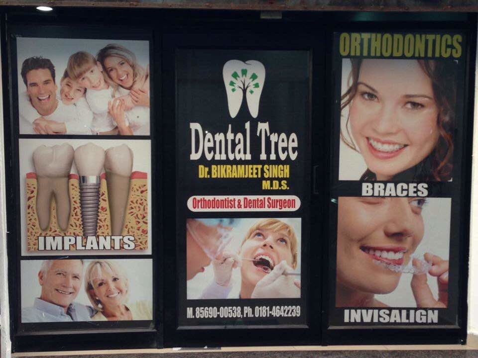 Dental Tree Jalandhar (Dental Implants & Invisible Braces Specialty Centre) - Dental Tree Jalandhar (Dental Implants & Invisible Braces Specialty Centre)