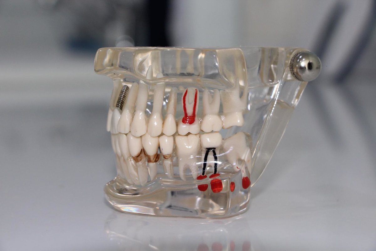 Dentist Demet Karakoc - Dentist Demet Karakoc