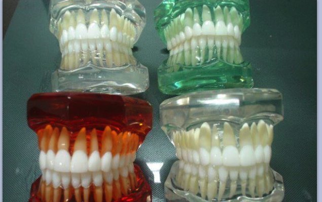 Dentist - Multi Speciality Dental Clinic - Dentist - Multi Speciality Dental Clinic