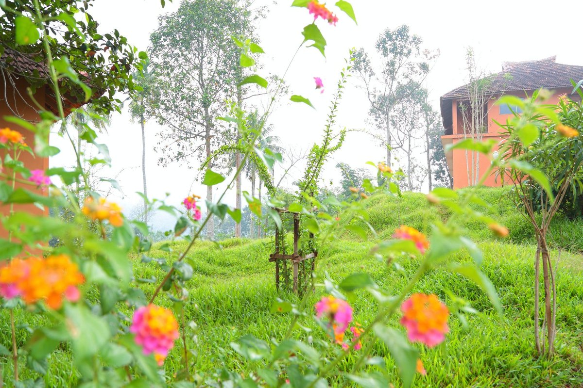 Dharma Ayurveda Healing Retreat - Dharma Ayurveda Healing Retreat