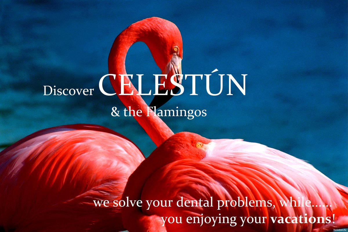 diMID Dental Implant Merida - diMID Dental Implant Merida