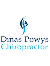 Dinas Powys Chiropractor - Dinas Powys Chiropractor