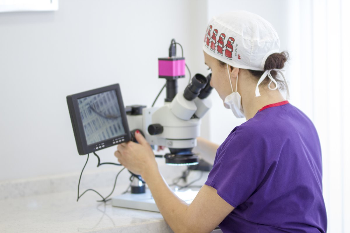 DK Hair Klinik - Hair Transplant &Aesthetics - DK Hair Klinik - Hair Transplant &Aesthetics