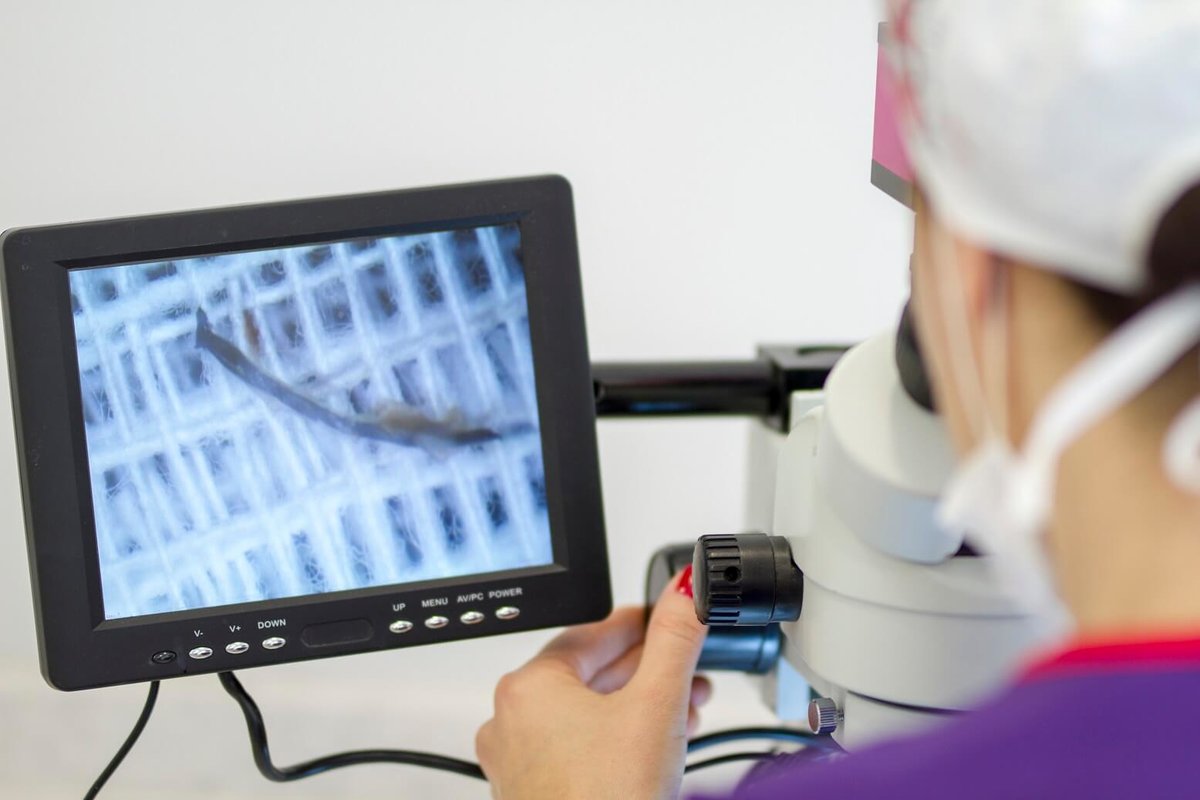 DK Hair Klinik - Hair Transplant &Aesthetics - DK Hair Klinik - Hair Transplant &Aesthetics