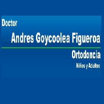 Dr. Andres Figueroa - Dental Clinic - Santiago - Dr. Andres Figueroa - Dental Clinic - Santiago