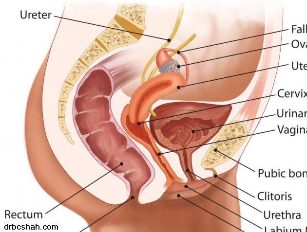 Dr. B. C. Shah Laparoscopic and General Surgeon - Dr. B. C. Shah Laparoscopic and General Surgeon