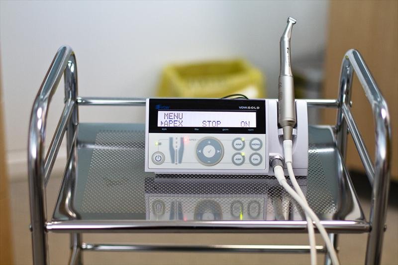 Dr. CRISTINA BRADEA - Dr. CRISTINA BRADEA