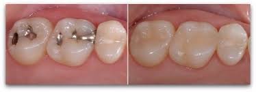 Dr. Francisco Javier Rebollar García - Dr. Francisco Javier Rebollar García