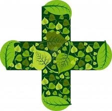 Dr Jamuna's Natural Therapy Center - Dr Jamuna's Natural Therapy Center