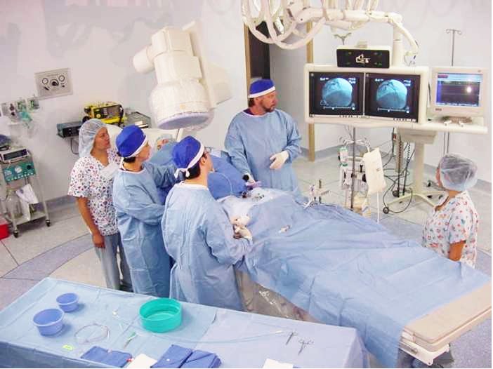 Dr. Juan M Dipp - Dr. Juan M Dipp