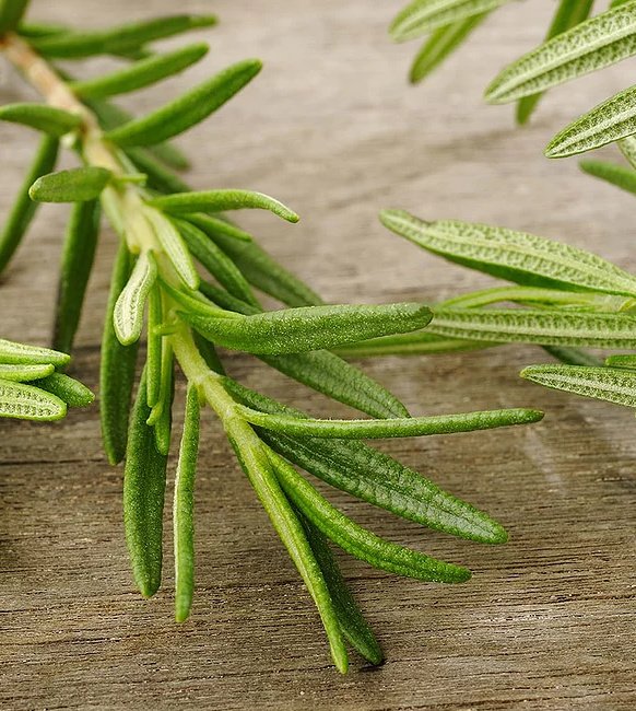 Dr. Kankariya's Homoeopathic Clinic - Dr. Kankariya's Homoeopathic Clinic