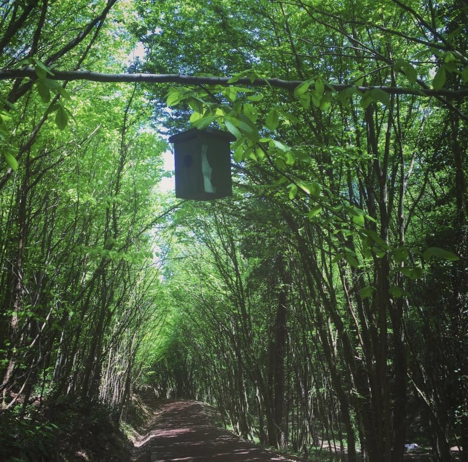 Dr. Kushan Hotel - Dr. Kushan Hotel