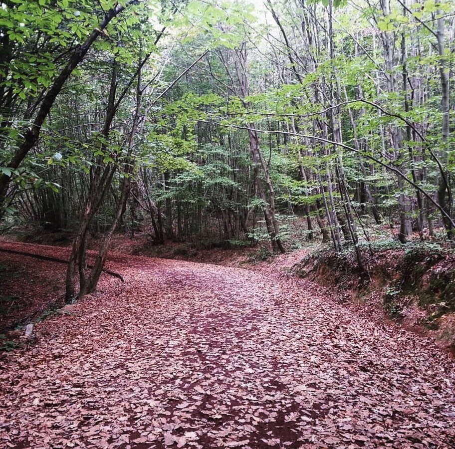 Dr. Kushan Hotel - Dr. Kushan Hotel