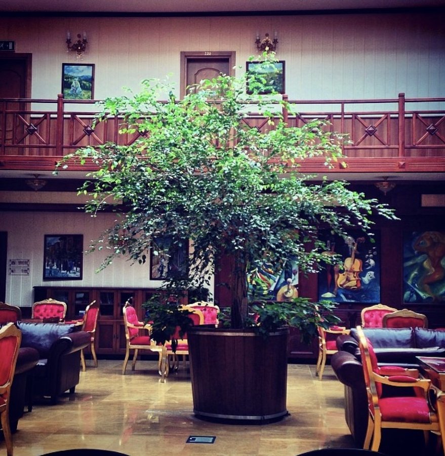 Dr. Kushan Hotel - Dr. Kushan Hotel