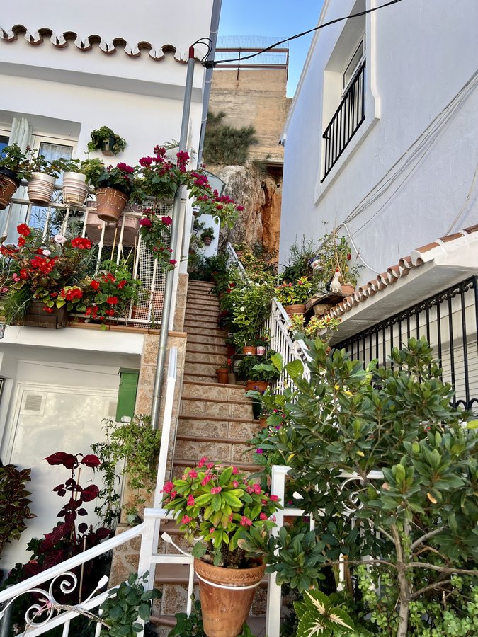 Dr. Luis Da Cruz - Dr. Luis Da Cruz