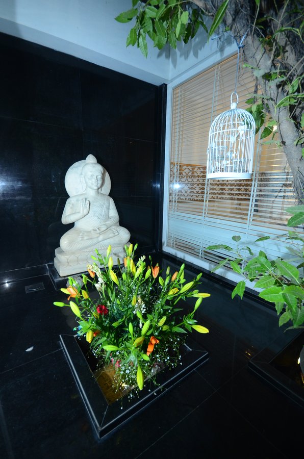 Dr. Monisha - Aesthetics - Dr. Monisha - Aesthetics