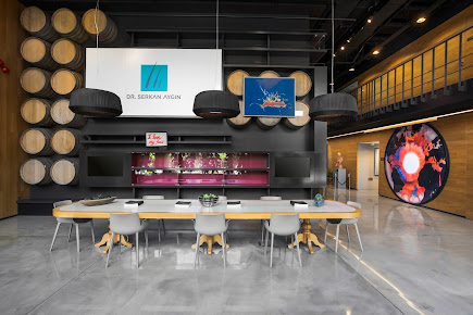 Dr. Serkan Aygin Clinic - Dr. Serkan Aygin Clinic