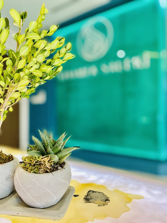 Dr Siyamek Saleki Esthetics - Dr Siyamek Saleki Esthetics