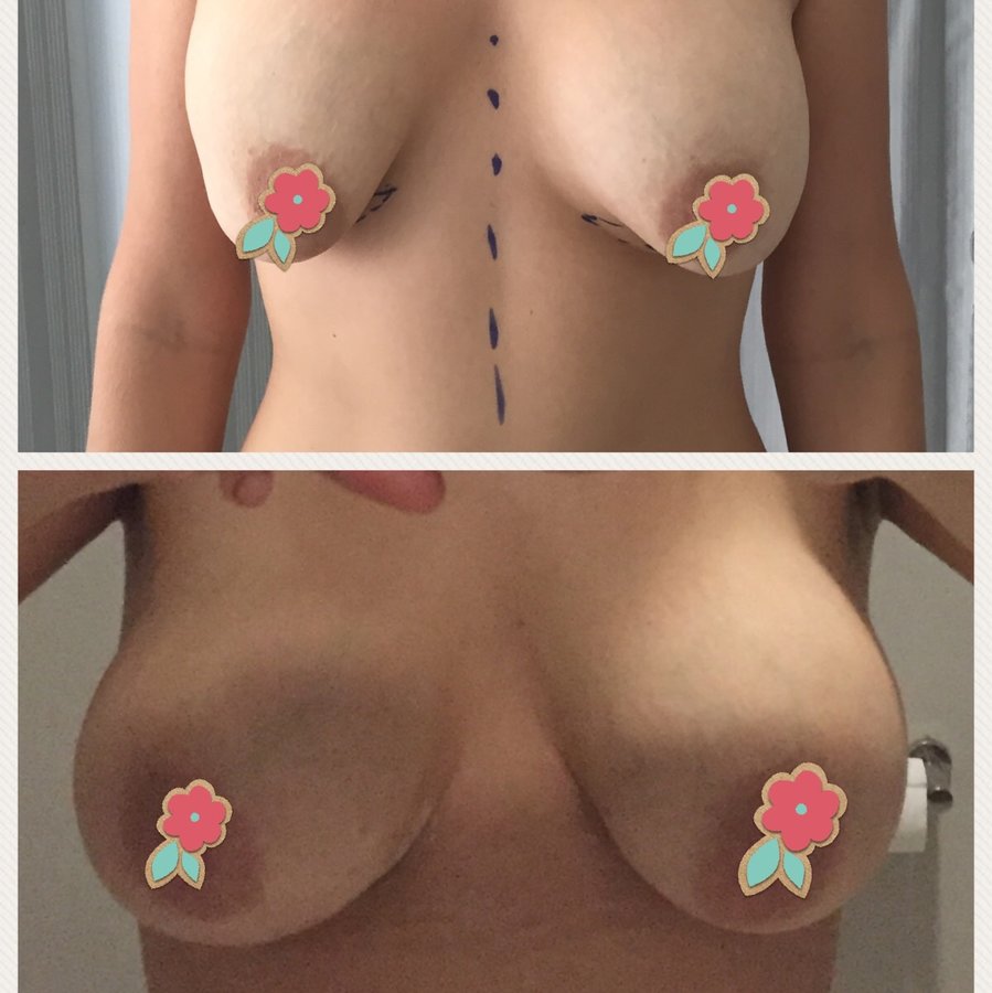 Dr Susan F Johnson - Dr Susan F Johnson