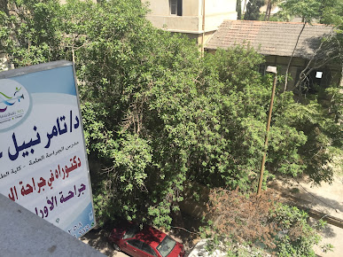 الدكتور تامر عبد الباقي - Dr. Tamer Abdelbaki