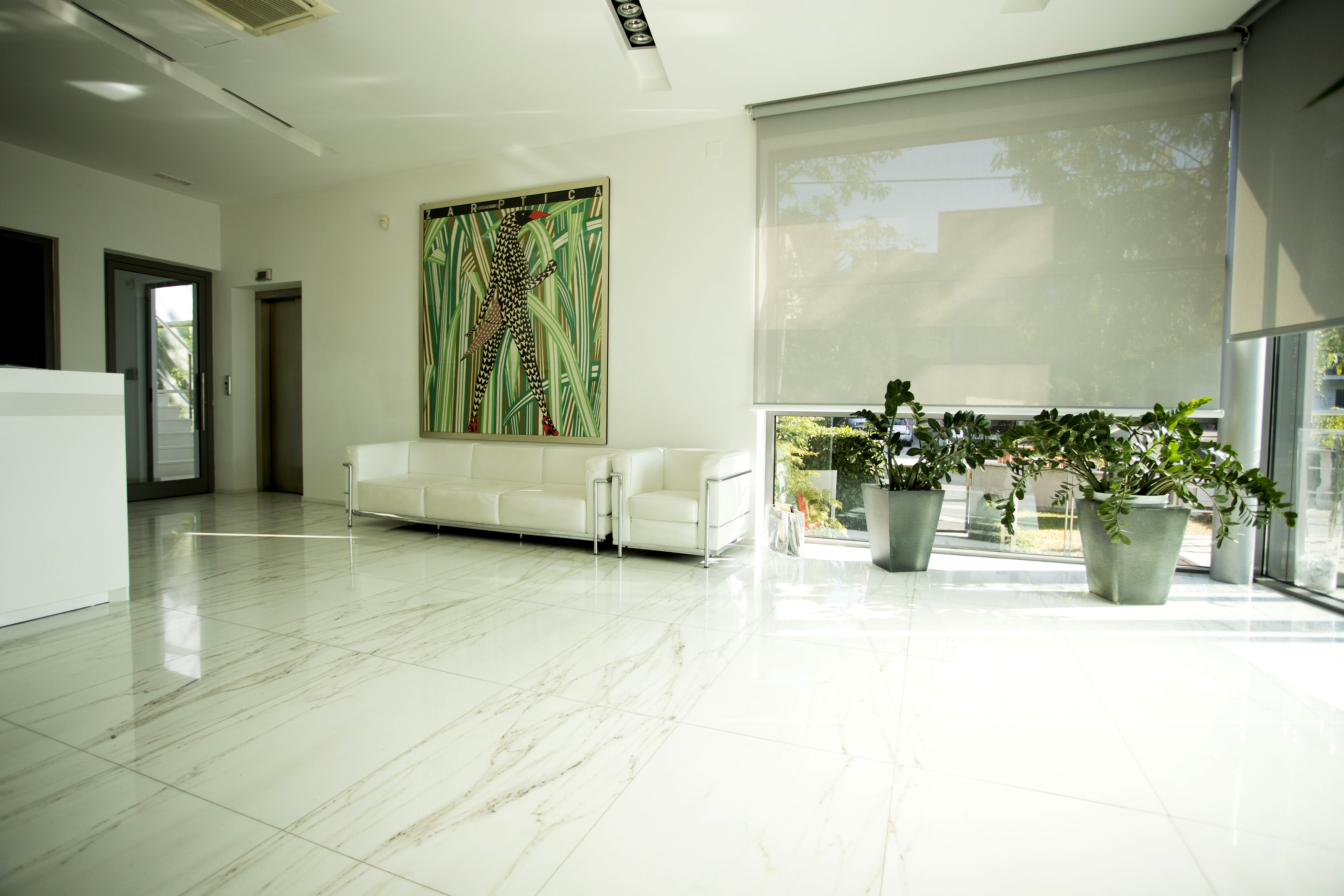 Dr. Toncic Clinic - Dr. Toncic Clinic