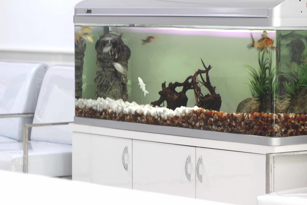 Dr. Venkat Nag : THE DENTAL SPECIALISTS: IMPLANTS - Dr. Venkat Nag : THE DENTAL SPECIALISTS: IMPLANTS