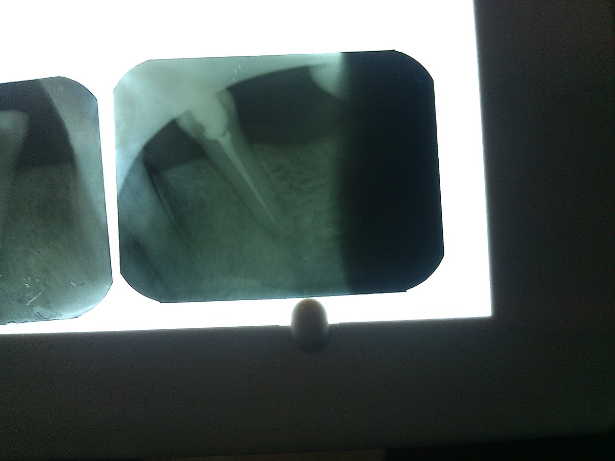 Dr.Sharma's Smile Signature: The Dental Clinic - Dr.Sharma's Smile Signature: The Dental Clinic