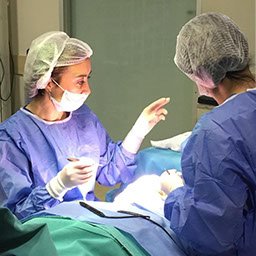 Ebru Acar - Ebru Acar