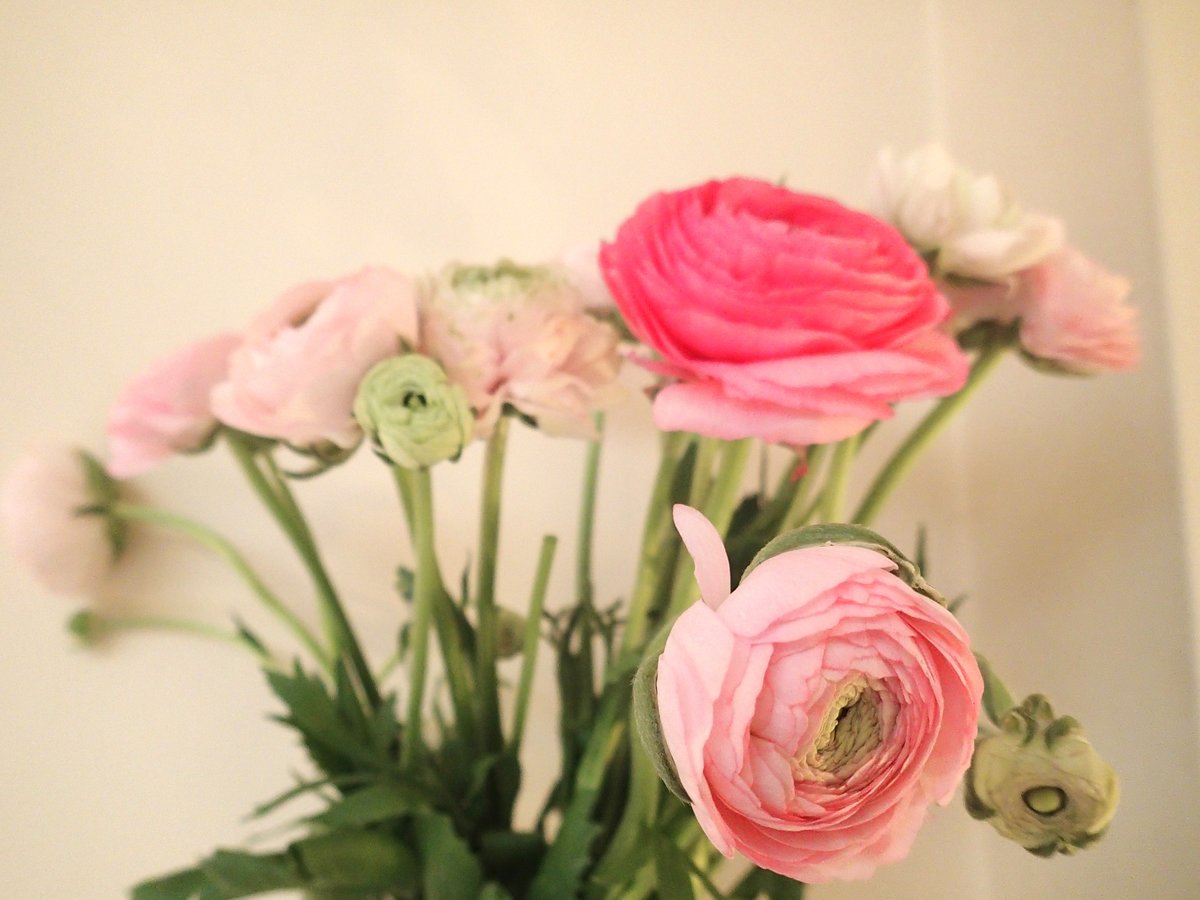 Emilia Herting Acupuncture - Emilia Herting Acupuncture