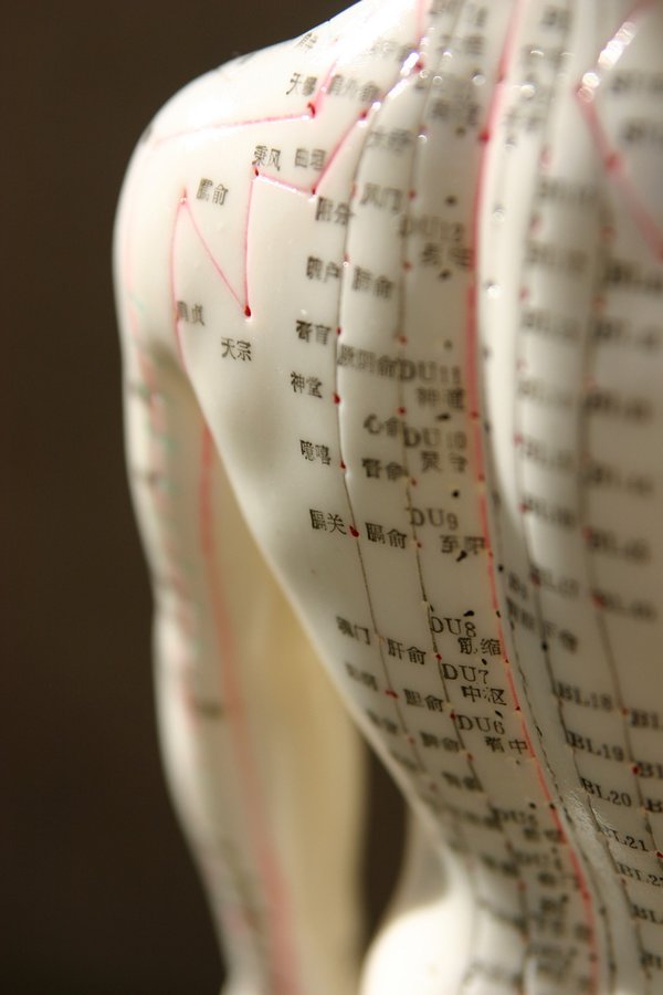 Emilia Herting Acupuncture - Emilia Herting Acupuncture