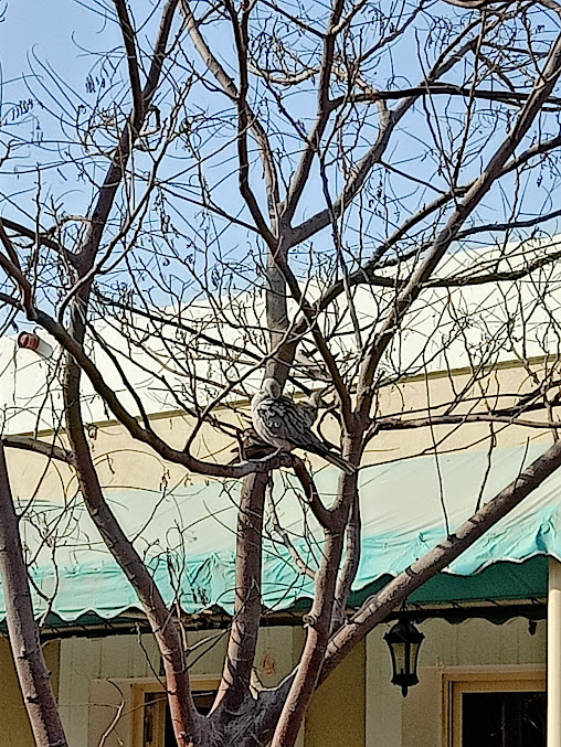 Emirates Rehabilitation and Homecare - Deira - Emirates Rehabilitation and Homecare - Deira