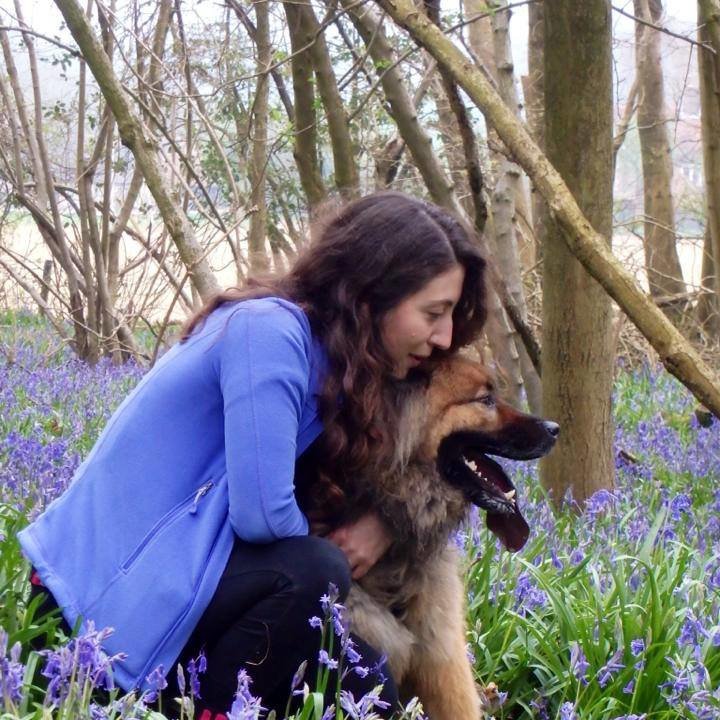 enVisage Emsworth - enVisage Emsworth