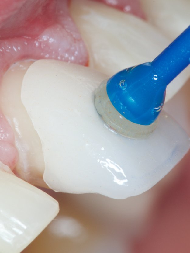 Especialistas Dentales Internacional/ Dental Specialist International - Especialistas Dentales Internacional/ Dental Specialist International