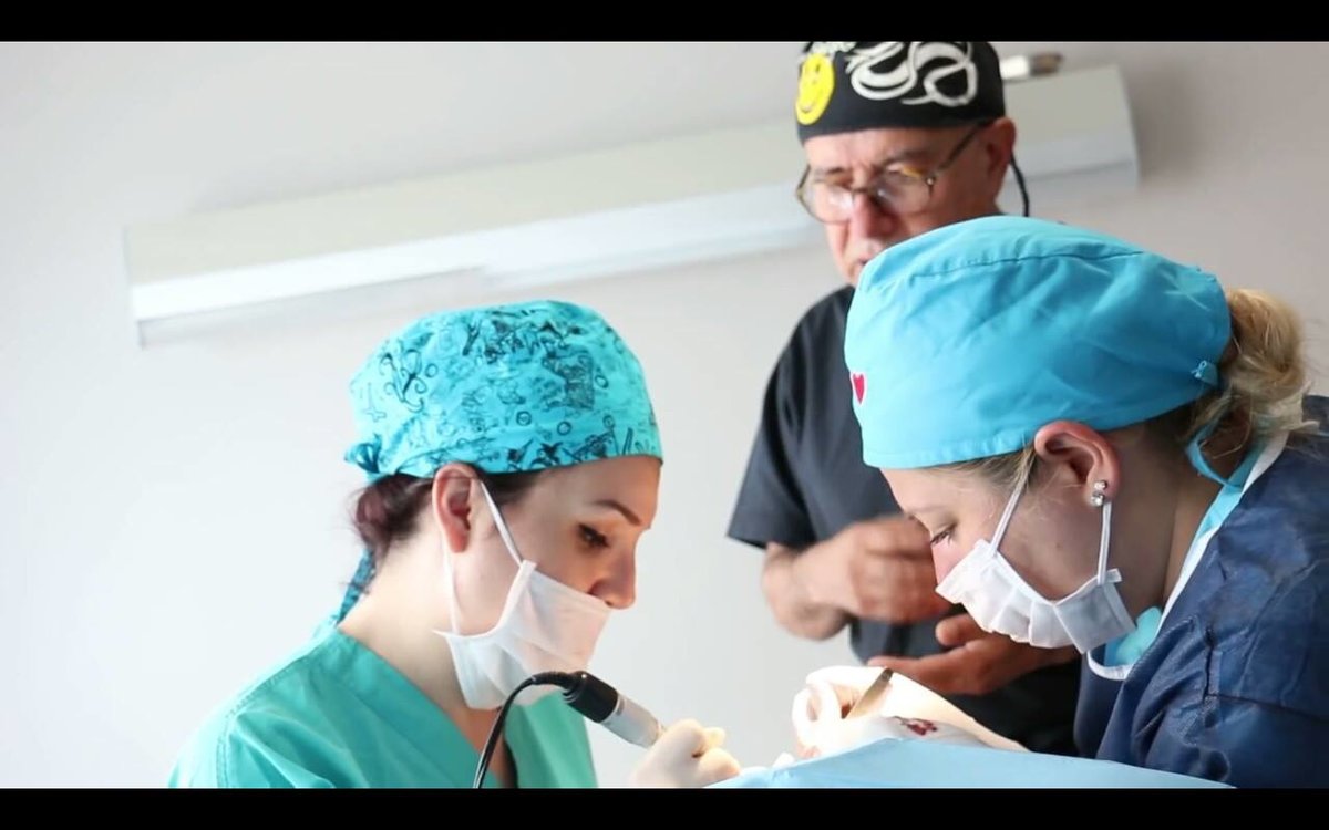 EstePera Hair Transplant Turkey - EstePera Hair Transplant Turkey