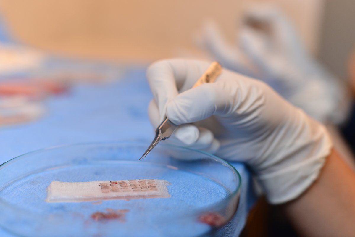 Esthebeauty Koog aan de zaan - Esthebeauty Koog aan de zaan