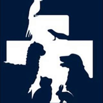 Exocare Veterinary Medical Centre  - Exocare Veterinary Medical Centre 
