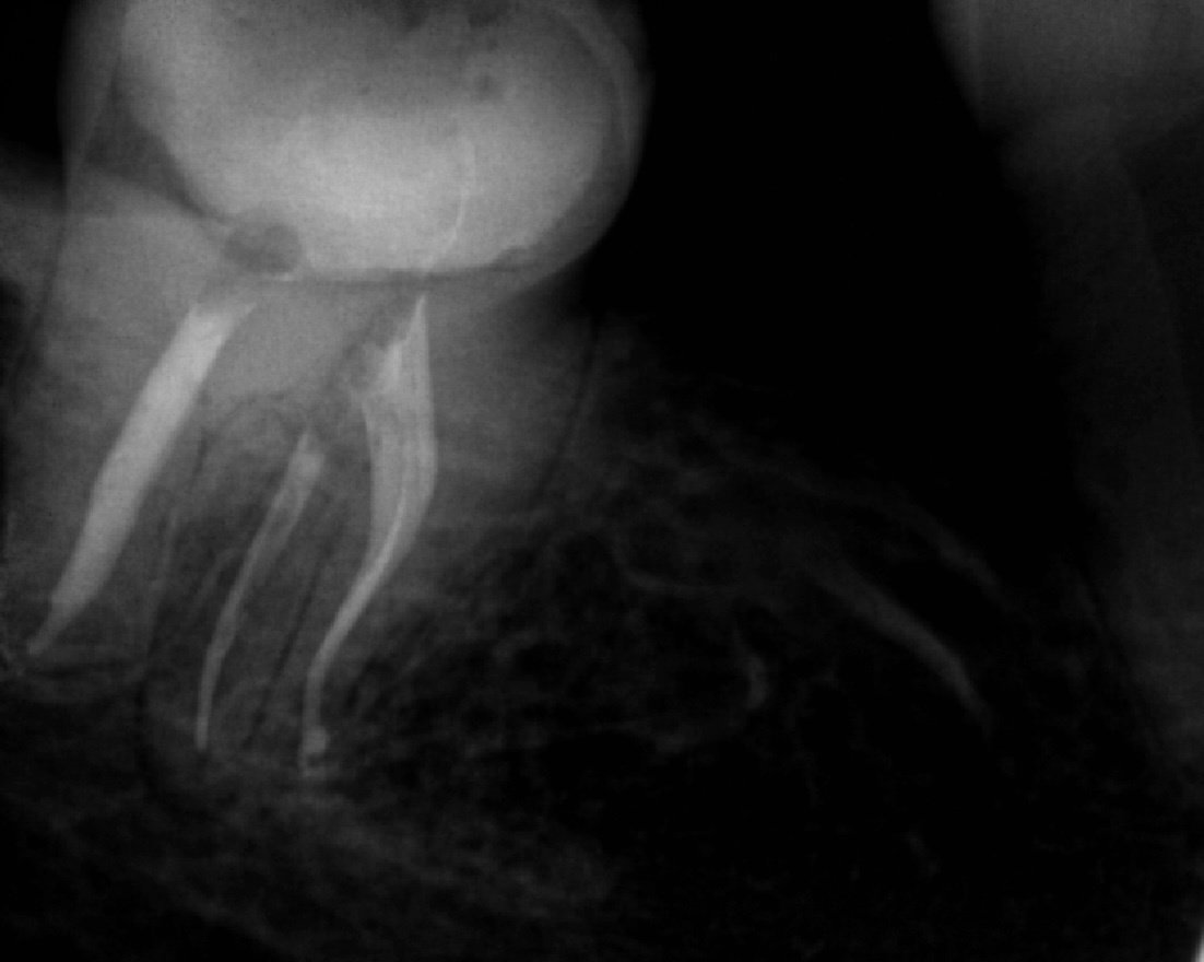 FineUp Clinic - FineUp Clinic